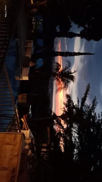 Soul Lodge Villa Lovina Banjar  エクステリア 写真